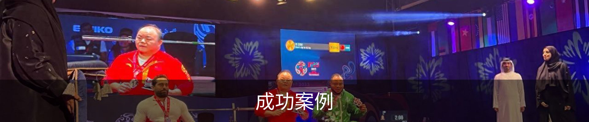 成功案例
